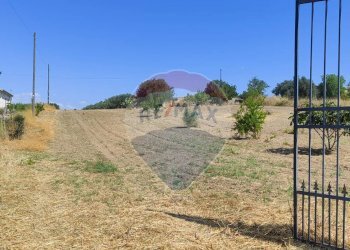 Non correlato - Terreno agricolo CONTRADA COMMENDA, Caltagirone - foto 4