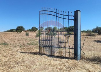 Non correlato - Terreno agricolo CONTRADA COMMENDA, Caltagirone - foto 5