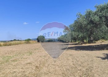 Giardino - Terreno agricolo CONTRADA COMMENDA, Caltagirone - foto 7