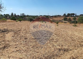Vista delle montagne - Terreno agricolo CONTRADA COMMENDA, Caltagirone - foto 9