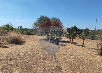 Giardino - Terreno agricolo CONTRADA COMMENDA, Caltagirone - foto 10