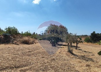 Giardino - Terreno agricolo CONTRADA COMMENDA, Caltagirone - foto 13