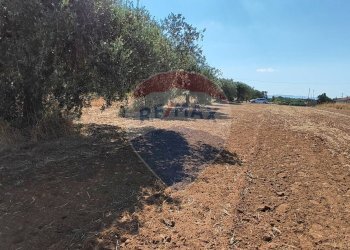 Giardino - Terreno agricolo CONTRADA COMMENDA, Caltagirone - foto 17