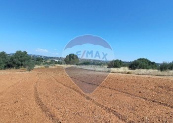 Vista dell\'acqua - Terreno agricolo CONTRADA COMMENDA, Caltagirone - foto 20