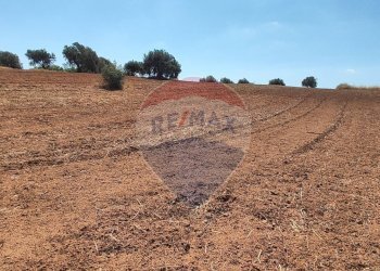 Non correlato - Terreno agricolo CONTRADA COMMENDA, Caltagirone - foto 22