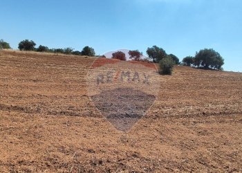 Vista dell\'acqua - Terreno agricolo CONTRADA COMMENDA, Caltagirone - foto 24