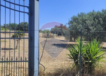 Giardino - Terreno agricolo CONTRADA COMMENDA, Caltagirone - foto 26