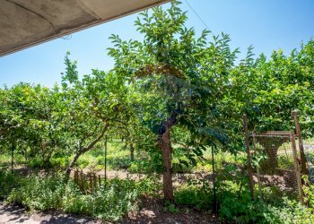 Giardino - Casa indipendente via dei gladioli
 
28, Taormina - foto 7