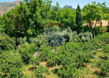 Giardino - Casa indipendente via dei gladioli
 
28, Taormina - foto 25