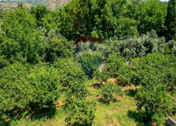 Giardino - Casa indipendente via dei gladioli
 
28, Taormina - foto 43