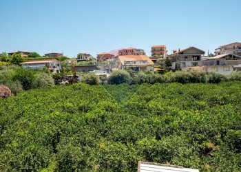 Giardino - Casa indipendente via dei gladioli
 
28, Taormina - foto 56