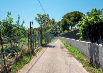 Giardino - Terreno agricolo via dei gladioli
28, Taormina - foto 6