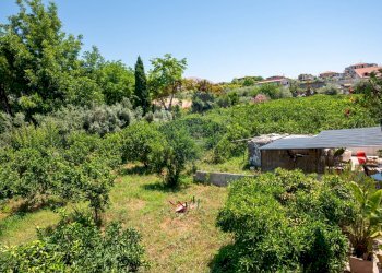 Giardino - Terreno agricolo via dei gladioli
28, Taormina - foto 12