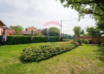 Giardino - Azienda agricola VIA PALAZZO
35, Viadana - foto 12