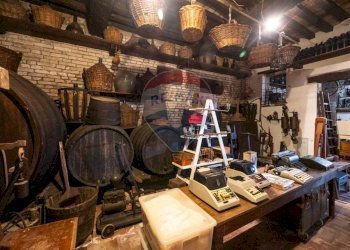 Palestra - Azienda agricola VIA PALAZZO
35, Viadana - foto 39