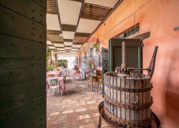 Terrazza - Azienda agricola VIA PALAZZO
35, Viadana - foto 40