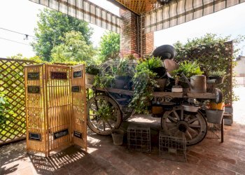 Terrazza - Azienda agricola VIA PALAZZO
35, Viadana - foto 43
