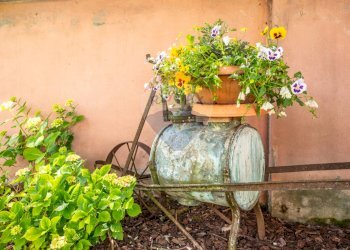 Giardino - Azienda agricola VIA PALAZZO
35, Viadana - foto 63