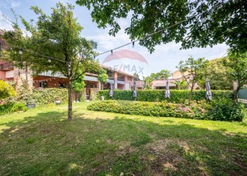 Giardino - Azienda agricola VIA PALAZZO
35, Viadana - foto 64