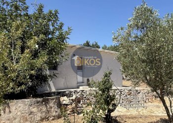 Foto 24 - Casa indipendente Contrada Gorgofreddo
 
snc, Monopoli - foto 24