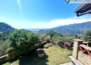 giardino - Casa semi indipendente via Lucchesi, Camaiore - foto 59