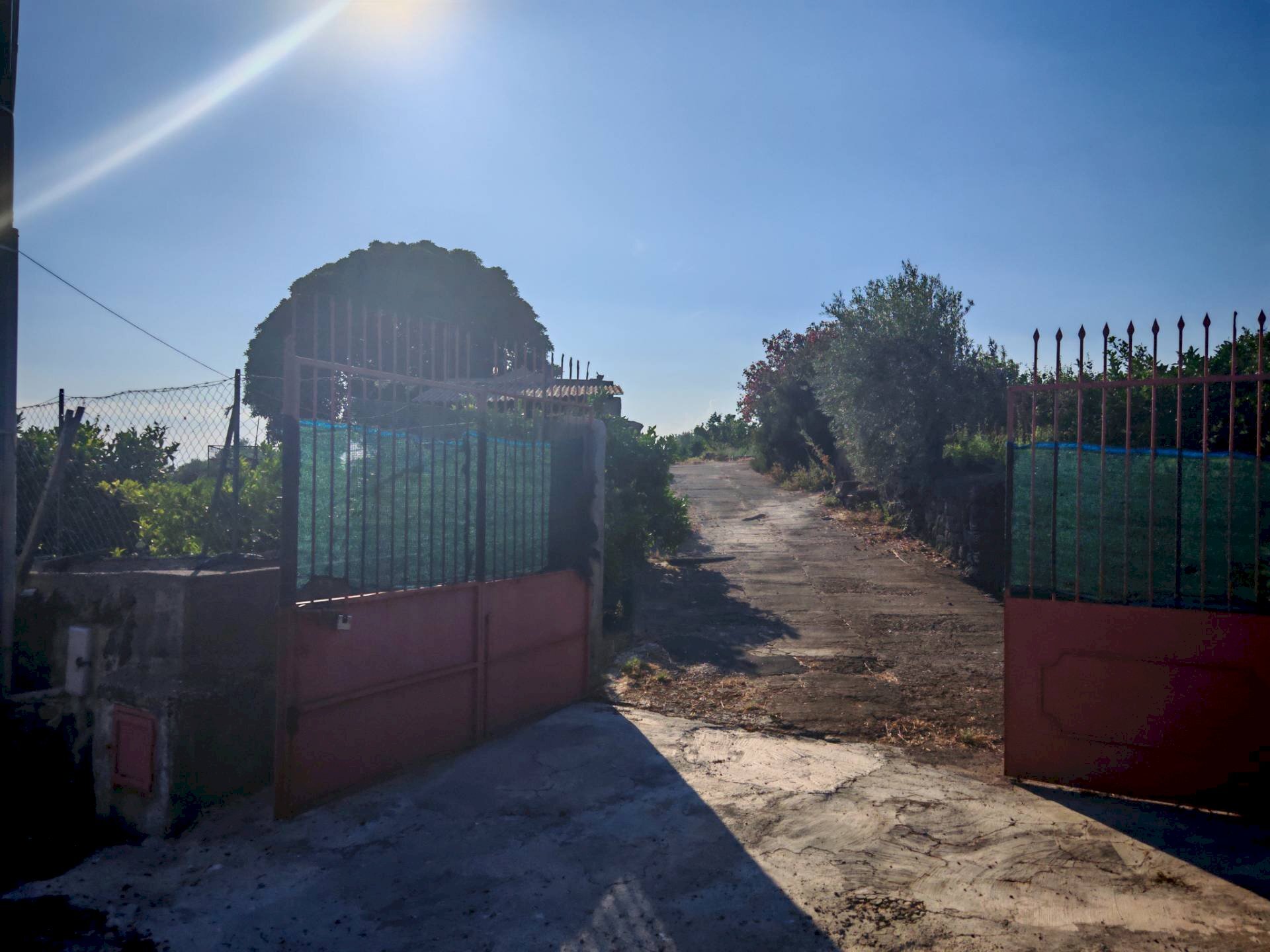 Foto 2 - Terreno agricolo Paterno - foto 2