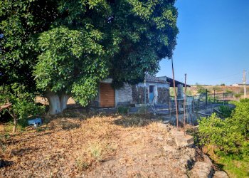 Foto 1 - Terreno agricolo Paterno - foto 1