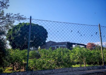 Foto 3 - Terreno agricolo Paterno - foto 3