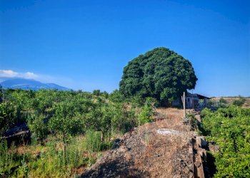 Foto 5 - Terreno agricolo Paterno - foto 5