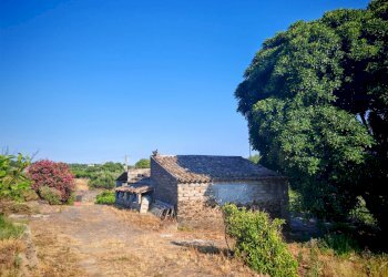 Foto 6 - Terreno agricolo Paterno - foto 6