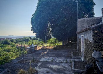 Foto 8 - Terreno agricolo Paterno - foto 8