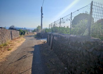 Foto 12 - Terreno agricolo Paterno - foto 12