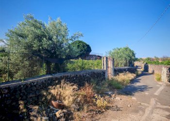 Foto 13 - Terreno agricolo Paterno - foto 13