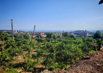 Foto 17 - Terreno agricolo Paterno - foto 17