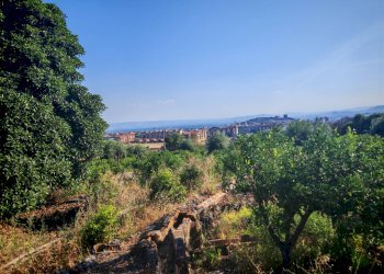 Foto 18 - Terreno agricolo Paterno - foto 18