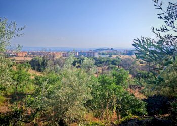 Foto 19 - Terreno agricolo Paterno - foto 19