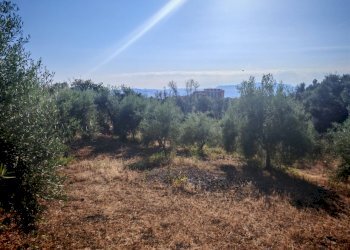 Foto 20 - Terreno agricolo Paterno - foto 20