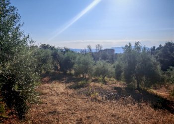 Foto 21 - Terreno agricolo Paterno - foto 21