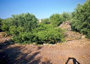 Foto 26 - Terreno agricolo Paterno - foto 26