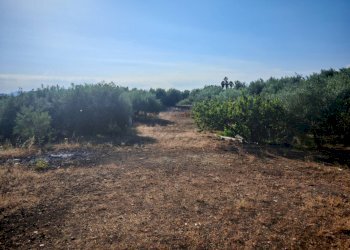 Foto 28 - Terreno agricolo Paterno - foto 28