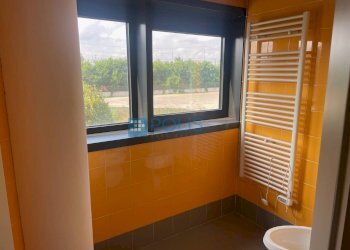 Foto 12 - Ufficio VIA FRIULI VENEZIA GIULIA, Pianiga - foto 11