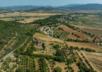 Foto 4 - Rustico Via Case Sparse
 
120, Magione - foto 4