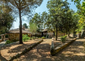 Foto 29 - Rustico Via Case Sparse
 
120, Magione - foto 29