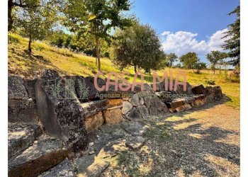 Foto 3 - Rustico Via del borgo, Gazzola - foto 3