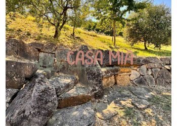 Foto 5 - Rustico Via del borgo, Gazzola - foto 5