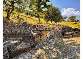 Foto 6 - Rustico Via del borgo, Gazzola - foto 6