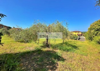 Foto 3 - Terreno edificabile Via Sarzanese Nord
SNC, Massarosa - foto 3