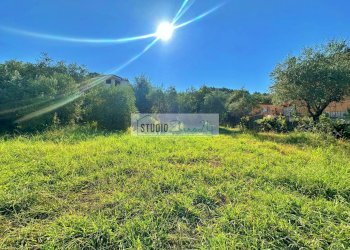 Foto 7 - Terreno edificabile Via Sarzanese Nord
SNC, Massarosa - foto 7