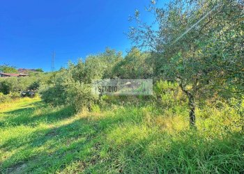 Foto 8 - Terreno edificabile Via Sarzanese Nord
SNC, Massarosa - foto 8