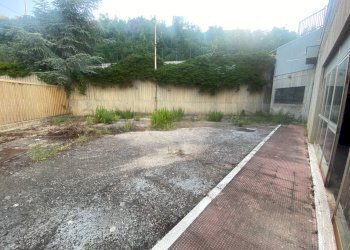 Foto 8 - Laboratorio via della liberazione
 
194, San Benedetto del Tronto - foto 8